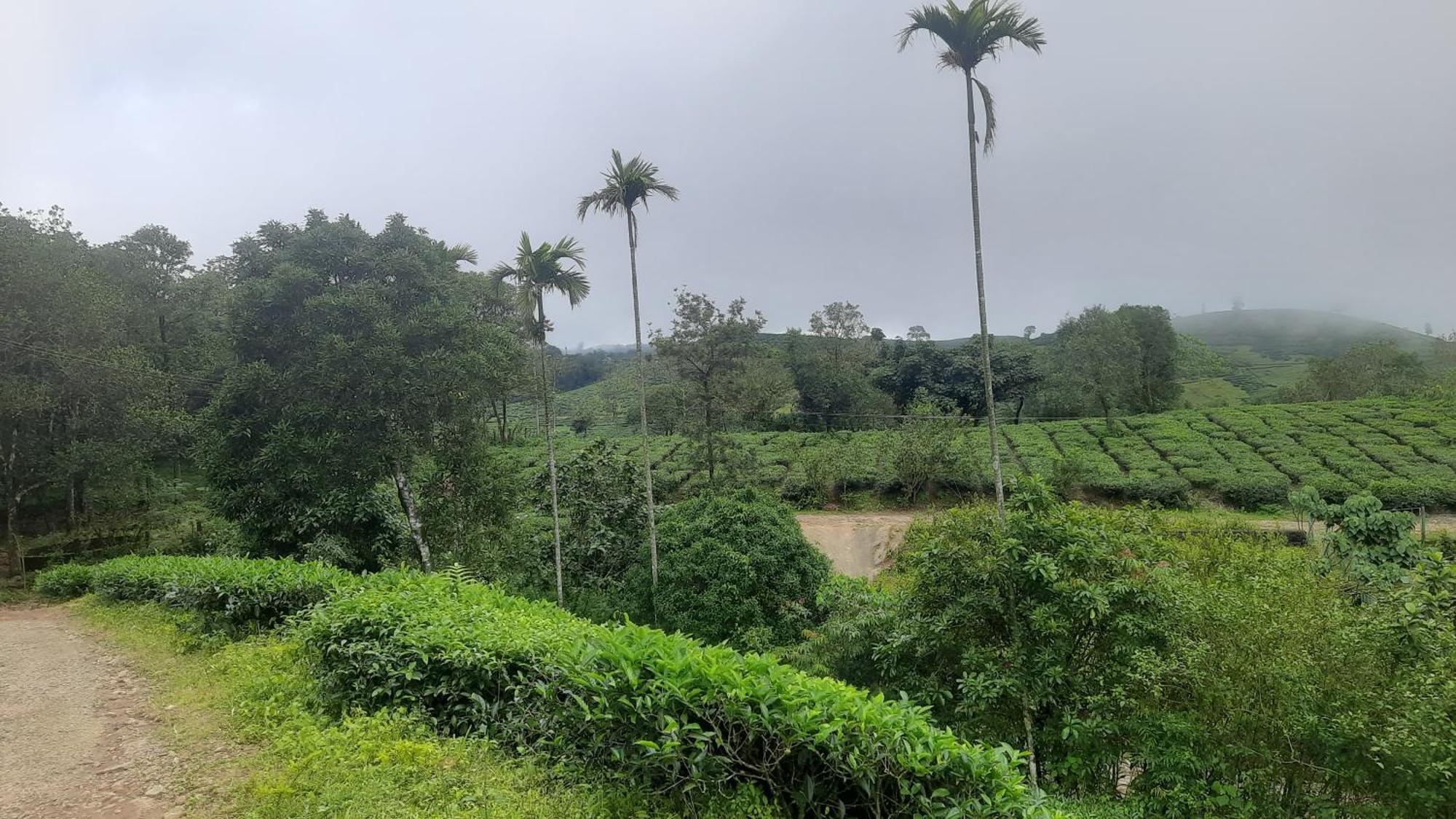 Paradise Meadows Vagamon Extérieur photo