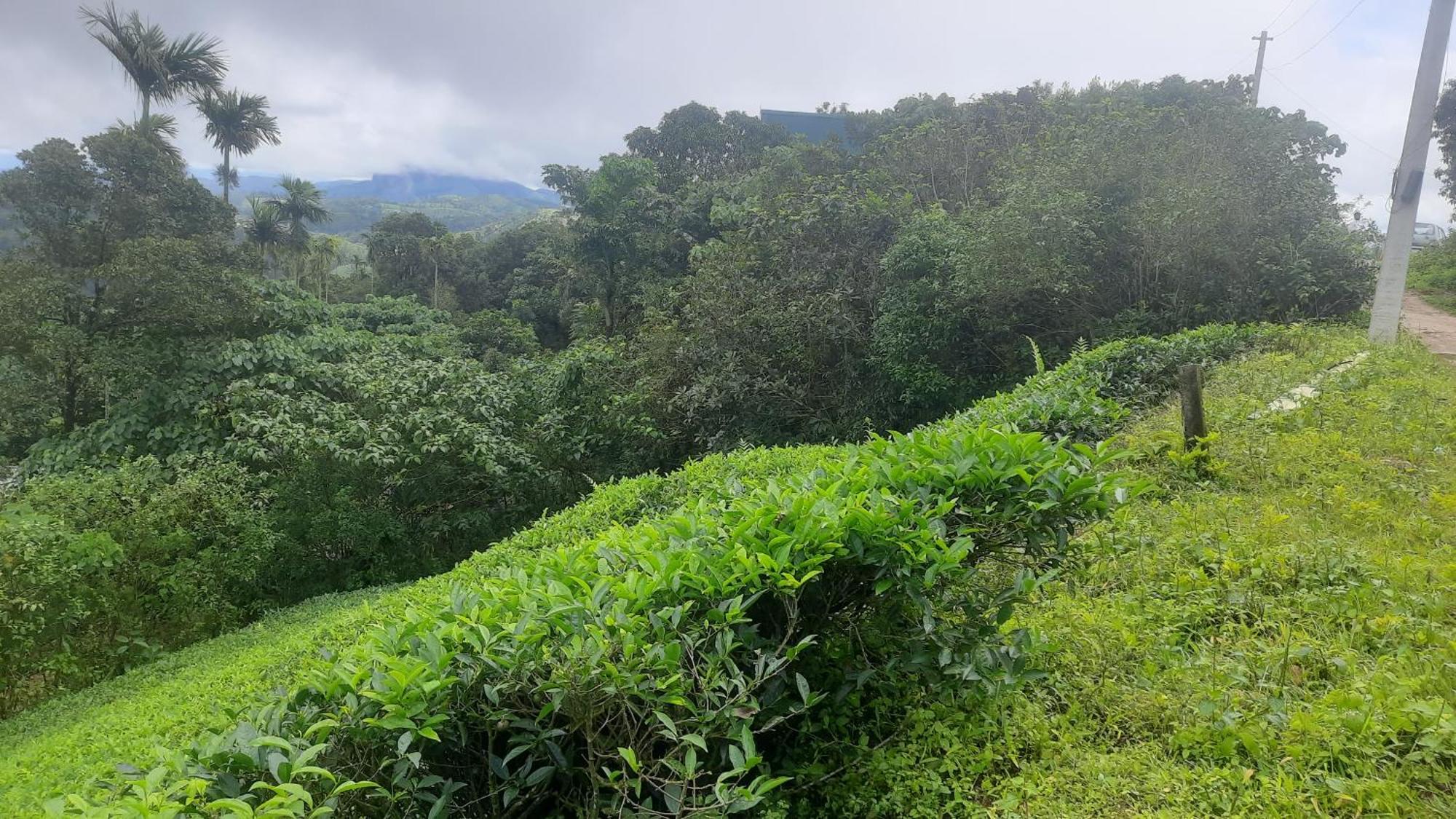 Paradise Meadows Vagamon Extérieur photo